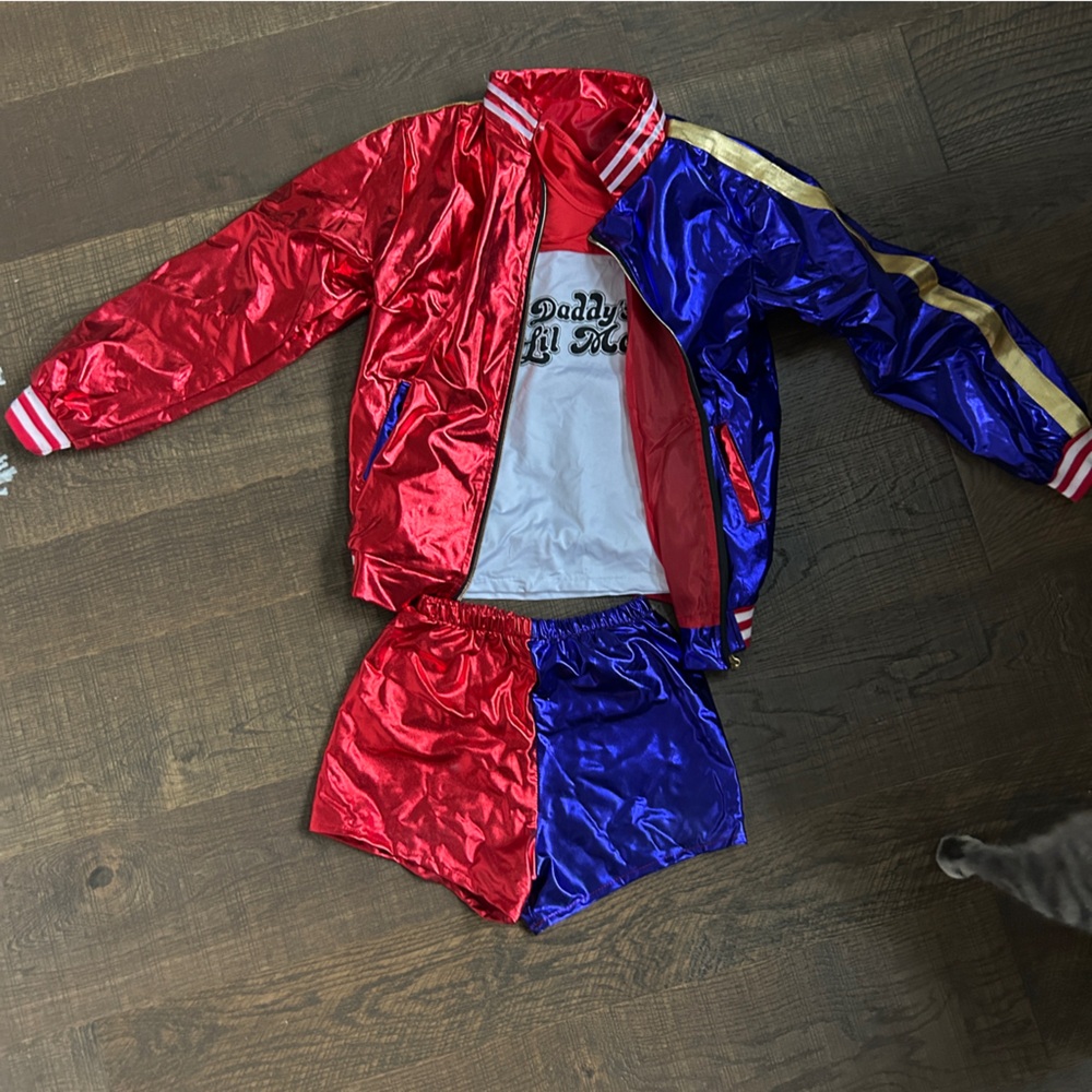 Harley Quinn Costume DELIVERY BY HALLOWEEN!